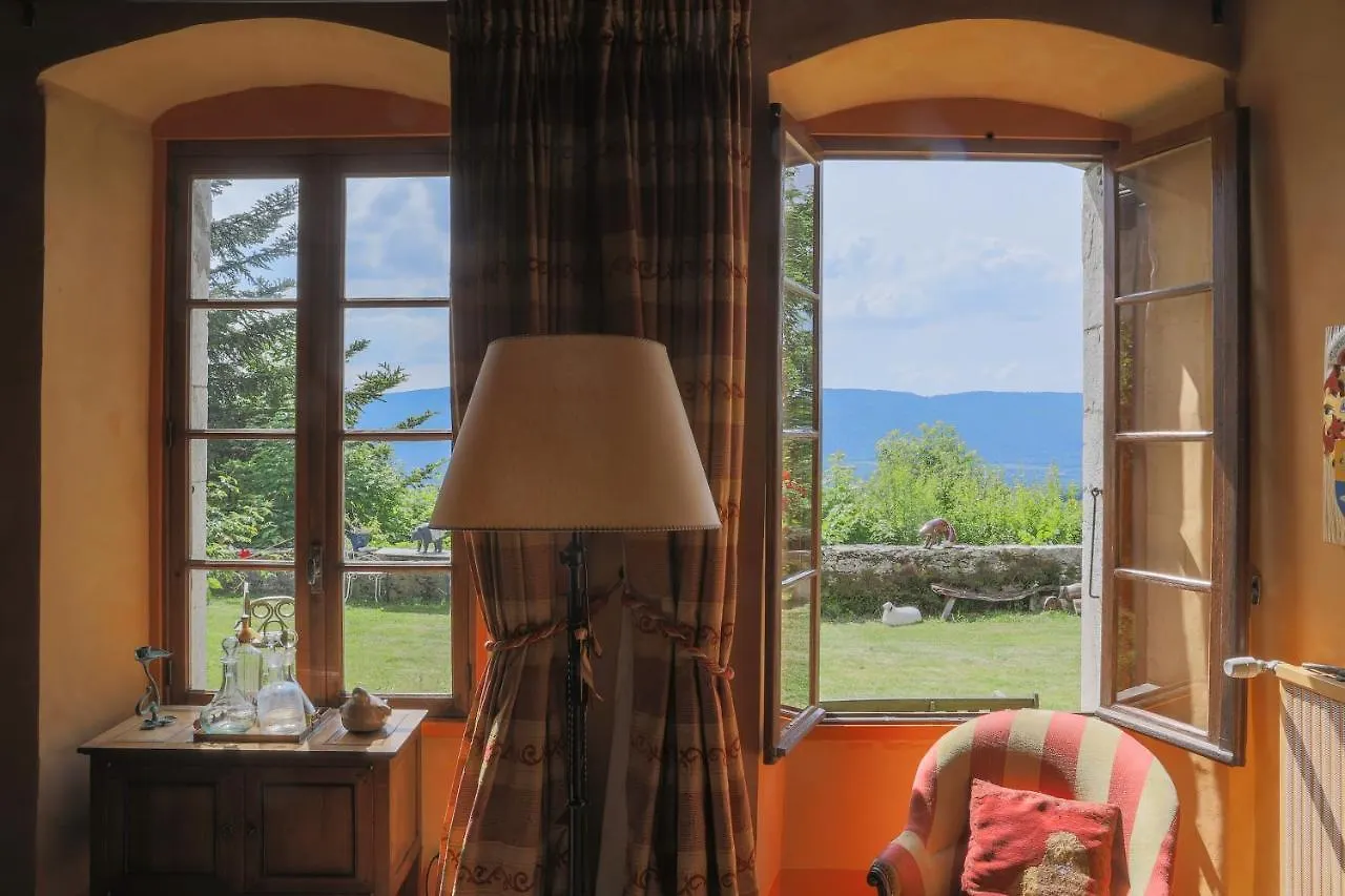 Bed & Breakfast Chateau De Sothonod France