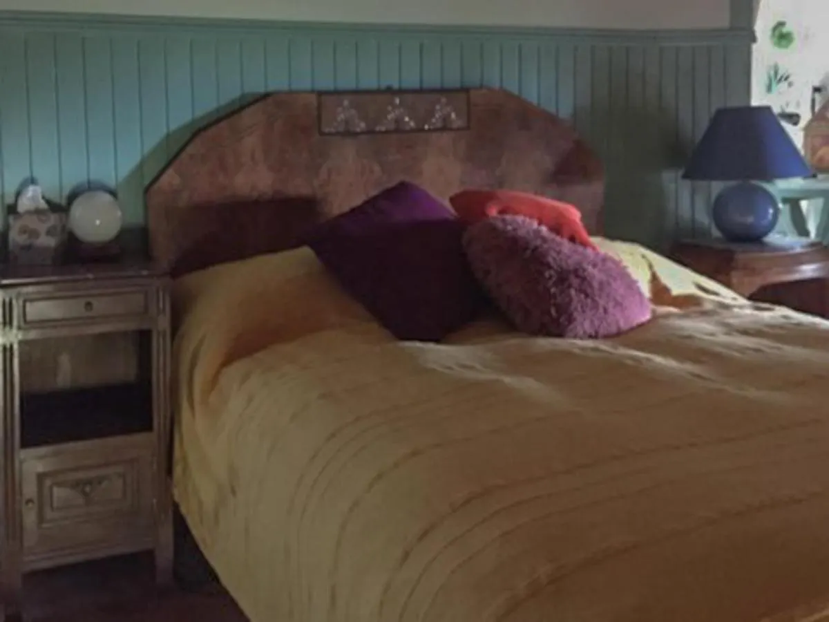 Chateau De Sothonod Bed & Breakfast