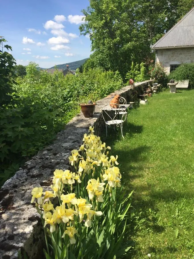Bed & Breakfast Chateau De Sothonod